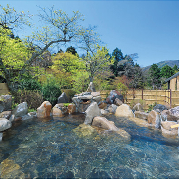 箱根高原ホテル　日帰り入浴　２名様