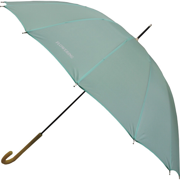 フラワーリング　１６本骨長傘　パステルグリーン