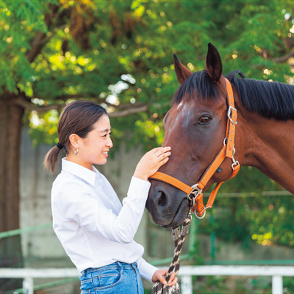 乗馬クラブクレイン　乗馬体験　１名様