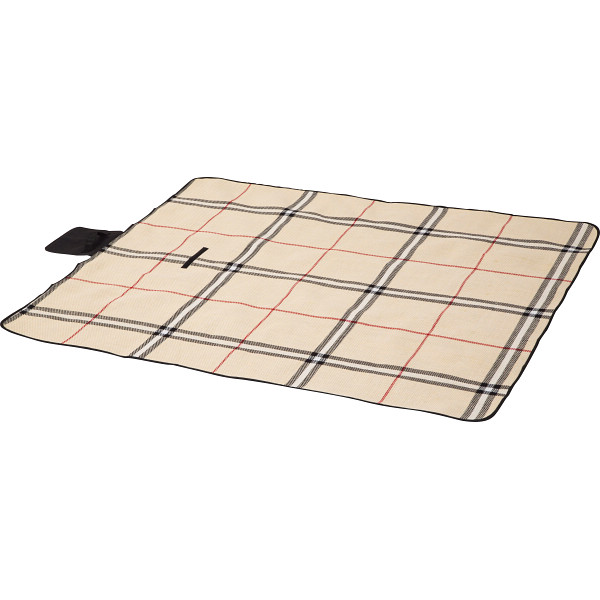 レジャーシート