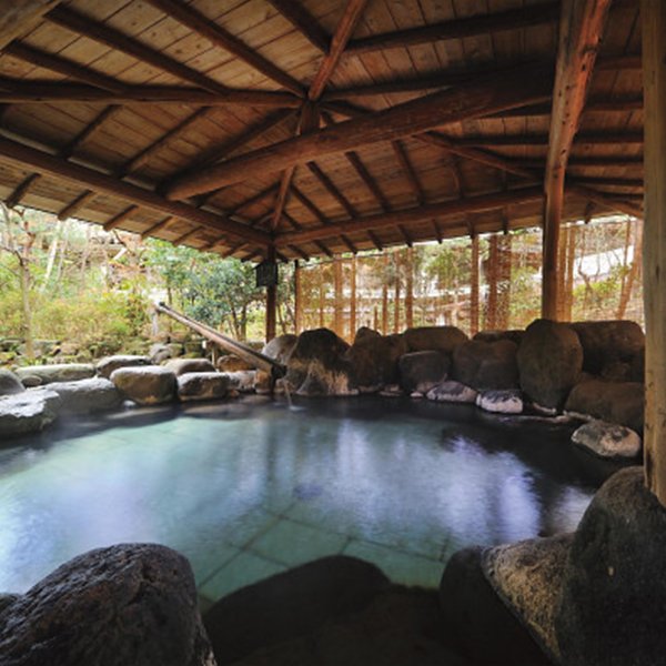 仙渓園月岡ホテル　日帰り入浴　２名様