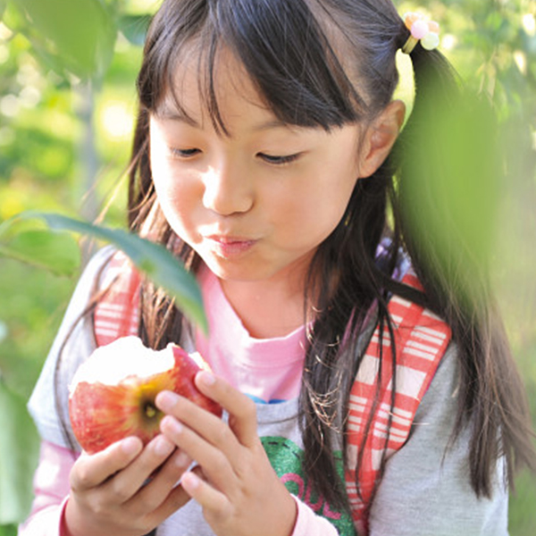 果実の里　原田農園　りんご狩　２名様　