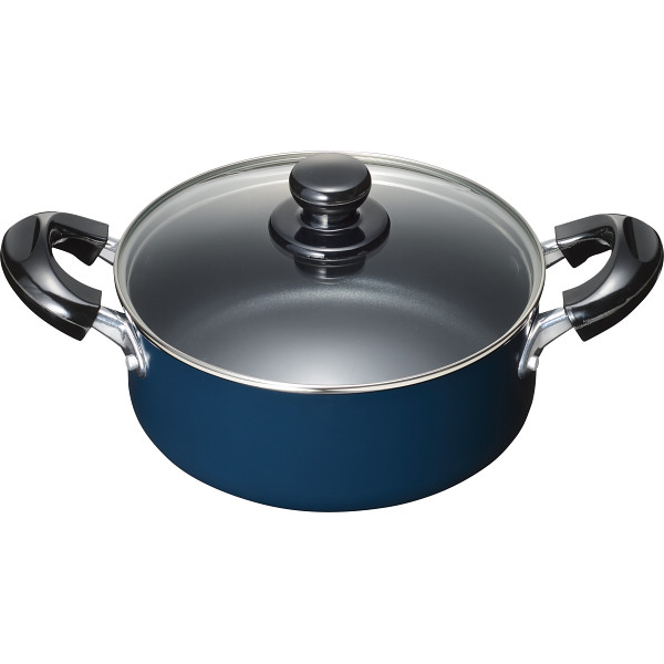 スティージーⅡ　両手鍋（２０ｃｍ）