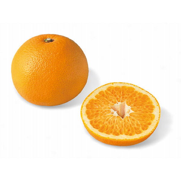 国産ハッサク（２ｋｇ）