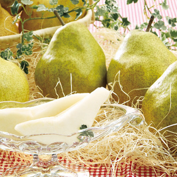 山形県産シルバーベル（２ｋｇ）