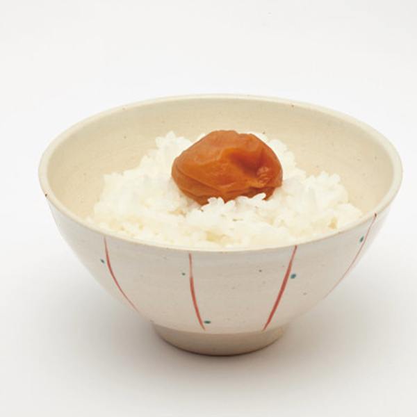 紀州産南高梅　うす塩味（５４０ｇ）