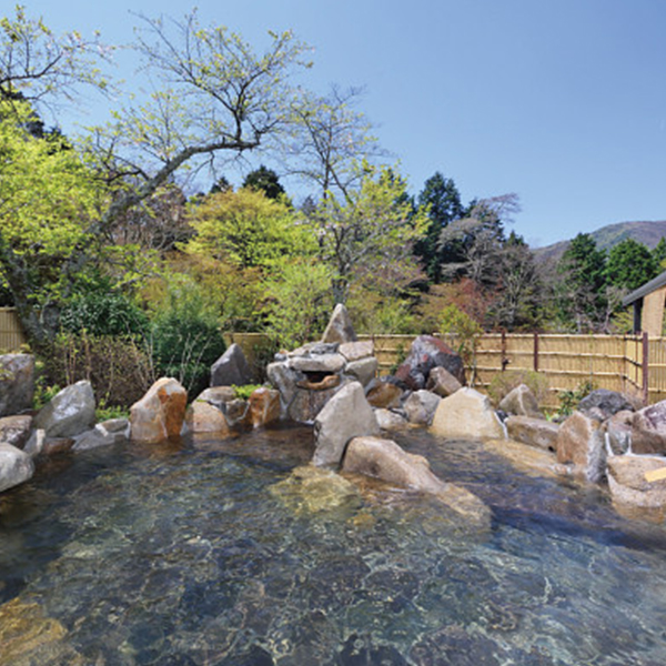 箱根高原ホテル　日帰り入浴　１名様