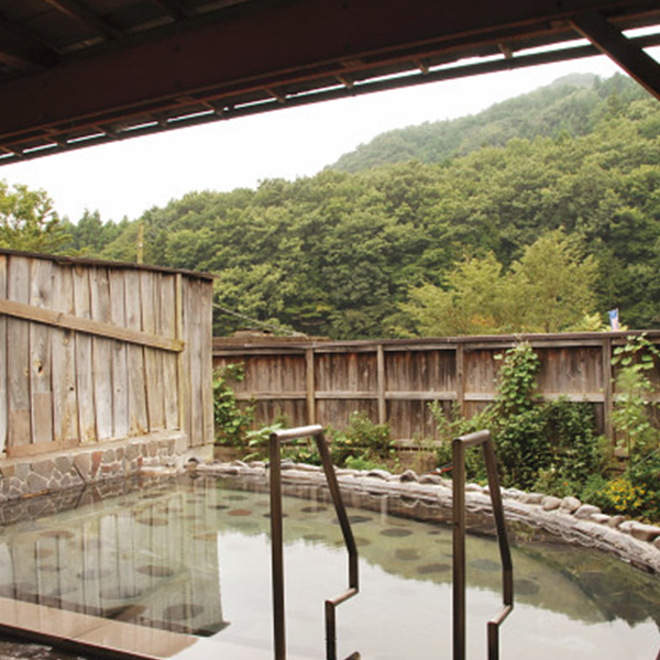 鬼怒川仁王尊プラザ　日帰り入浴　２名様