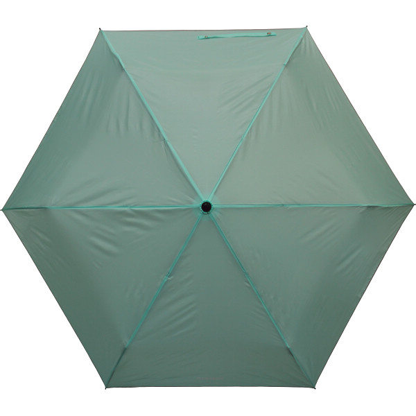 フラワーリング　丸ミニ傘＆ジャンプ長傘セット　パステルグリーン