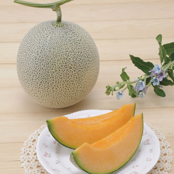 北海道産赤肉メロン（１玉）