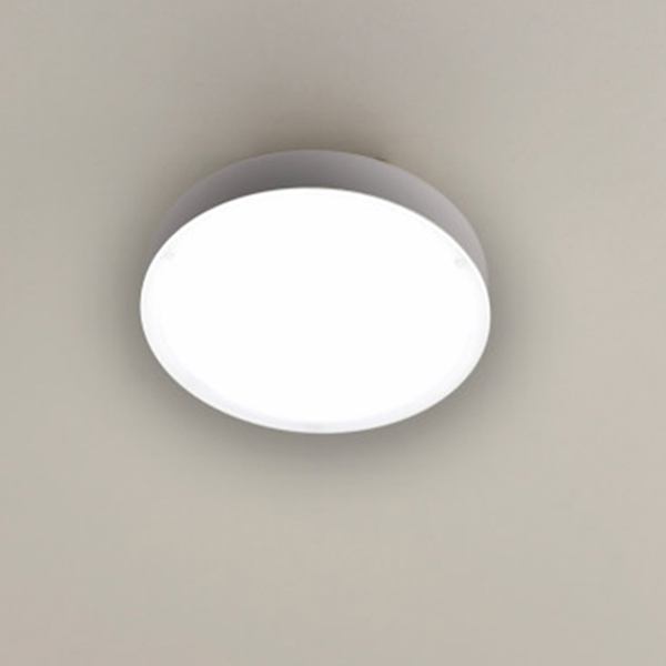 ヤマゼン　ＬＥＤミニシーリングライト（昼白色）　昼白色