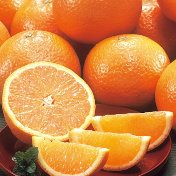 国産清見オレンジ（３ｋｇ）