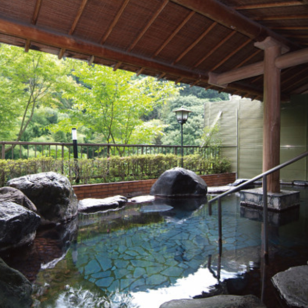 大滝ホテル　日帰り入浴＋昼食付　２名様