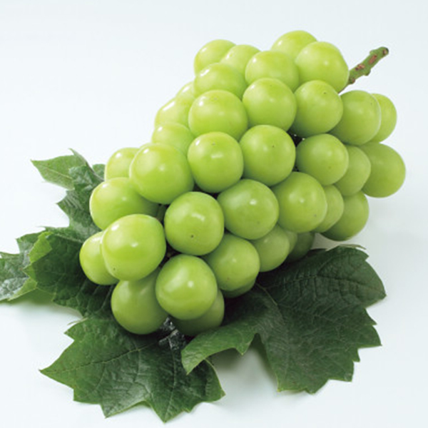 山梨県産　シャインマスカット（２ｋｇ）