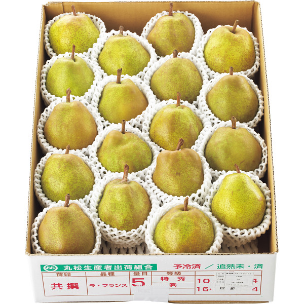 頒布会　季節のフルーツ　山形県産リンゴとラ・フランス