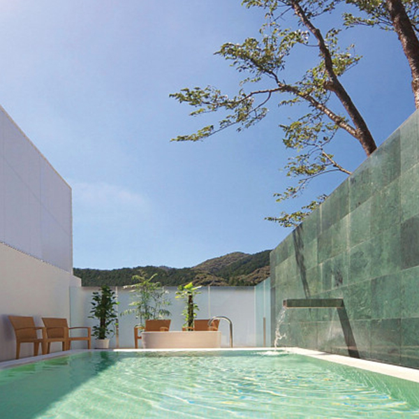 山村別館　日帰り入浴＋昼食付　２名様