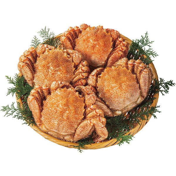 北海道産　ボイル毛蟹　４尾（計１．６ｋｇ）