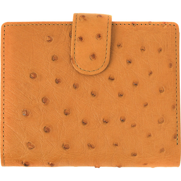 オーストリッチ　ベルト付折財布　イエロー