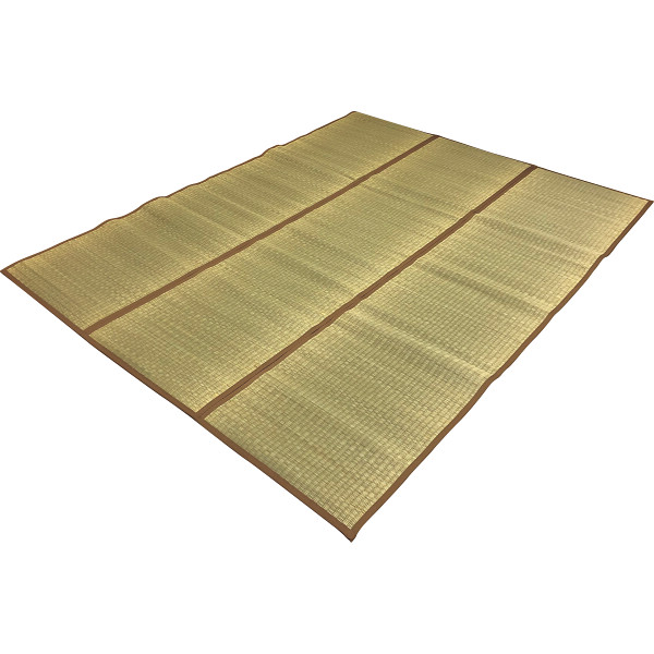 沖縄ビーグのラグ