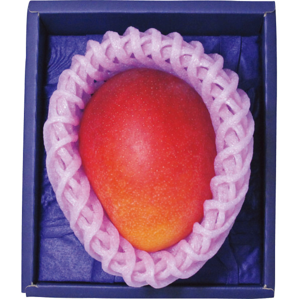 宮崎県産　アップルマンゴー（１玉）