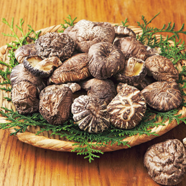 大分産椎茸どんこ