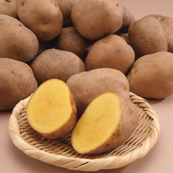 北海道産　インカのめざめ（Ｍサイズ・２．５ｋｇ）