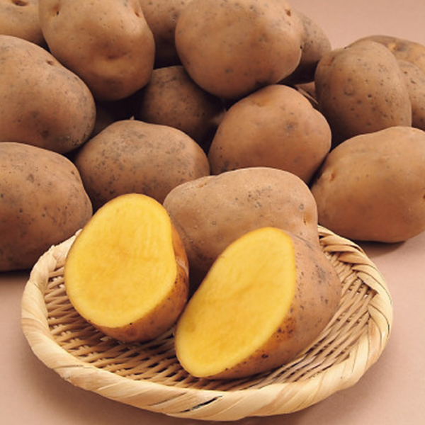 北海道産　インカのめざめ（５ｋｇ）