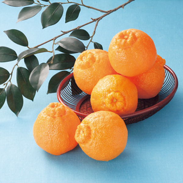 熊本県産　デコポン（５ｋｇ）