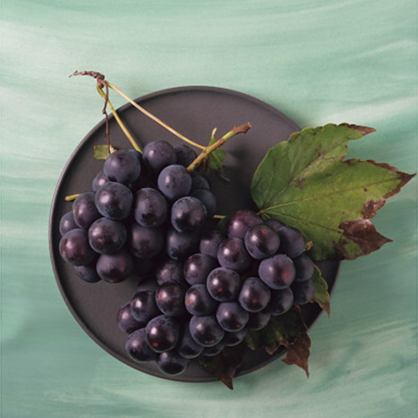 山梨県産　種無し巨峰・ピオーネ