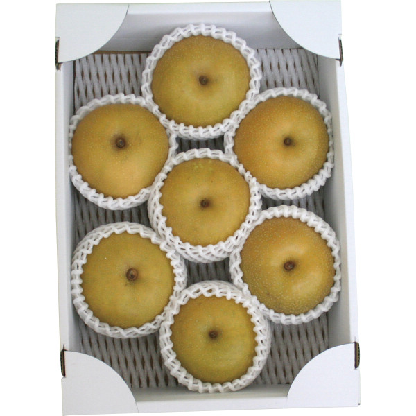 頒布会　季節のフルーツ　B頒布会親）山形県産りんごと和梨