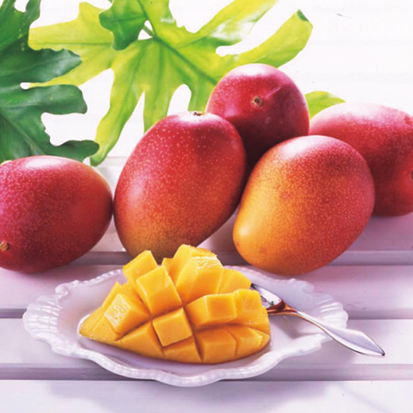 沖縄県産　マンゴー（２ｋｇ）