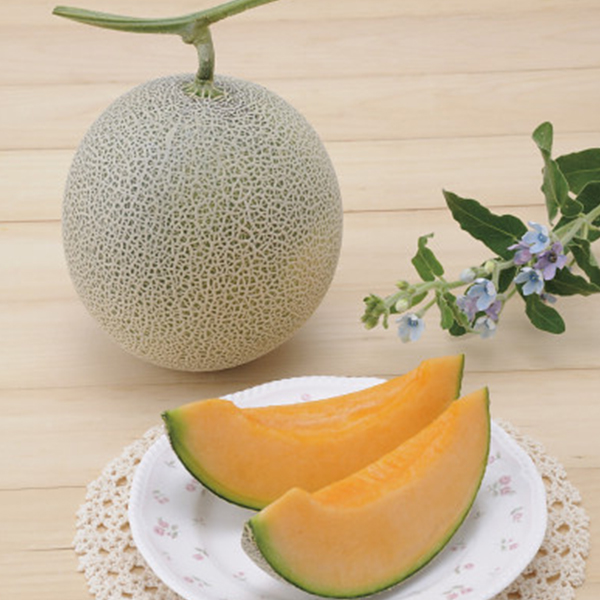 （頒布会親）北海道メロン・夏野菜・秋野菜