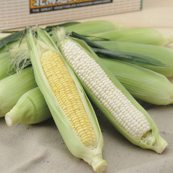 （頒布会親）北海道コーン・メロン・じゃがたま