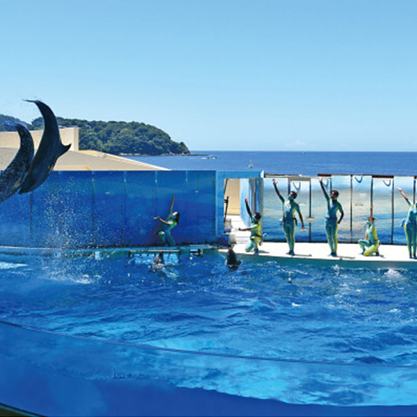 新江ノ島水族館　入場券　大人２名様＋高校生２名様