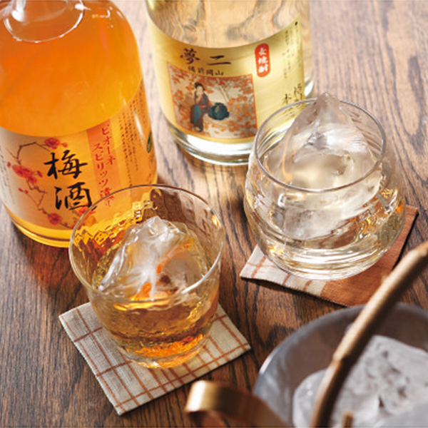 宮下酒造　本格麦焼酎・梅酒セット（２本）