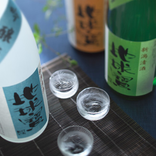 高野酒造　地球寶　飲み比べセット（３本）