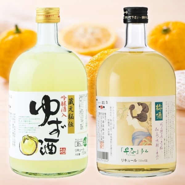 宮下酒造　ゆず酒・梅酒セット（２本）