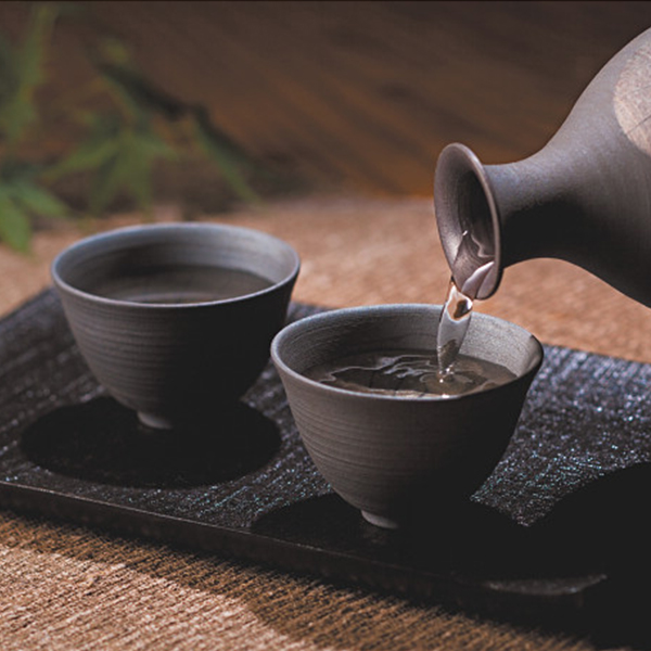 高野酒造　地球寶　飲み比べセット（３本）