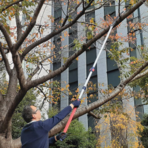伸縮式高枝鋸　手鋸用ハンドル付