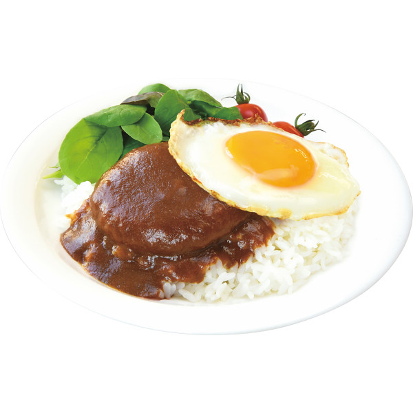 ロコモコハンバーグ（２４食）