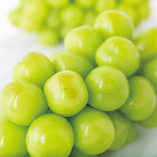 シャインマスカット（１．４ｋｇ）