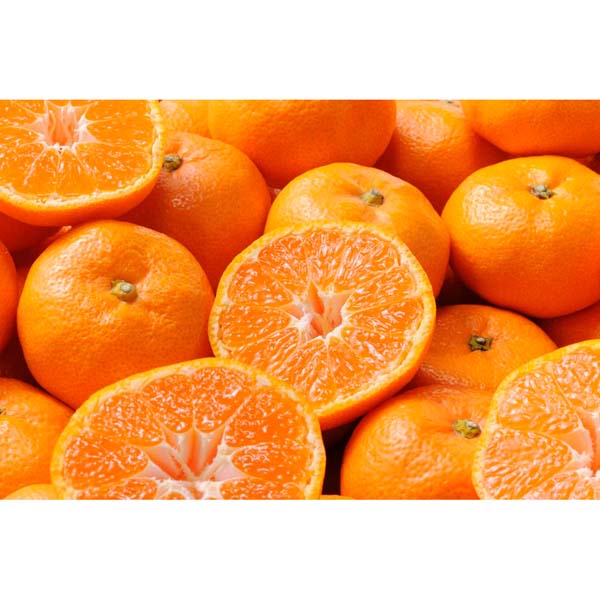 和歌山県産　有田みかん［２．５ｋｇ］