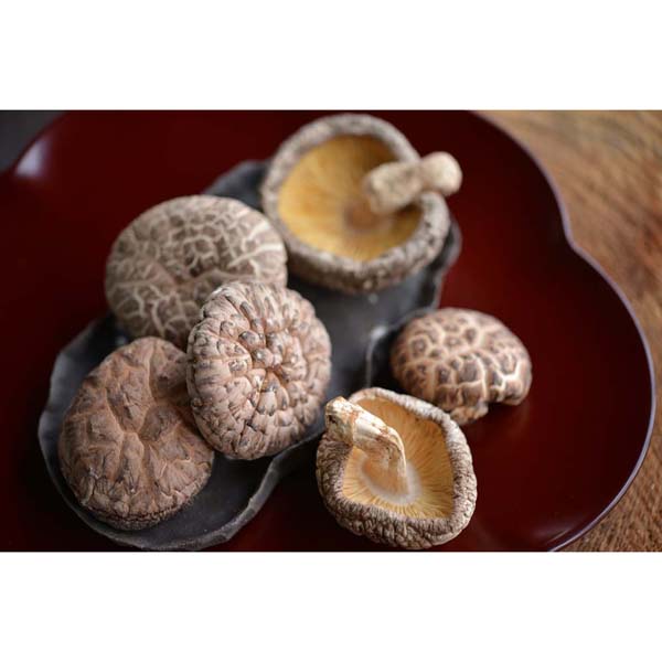 宮崎県産どんこ椎茸