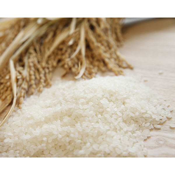 雪温精法　新潟産こしひかり・新潟産こしいぶきセット