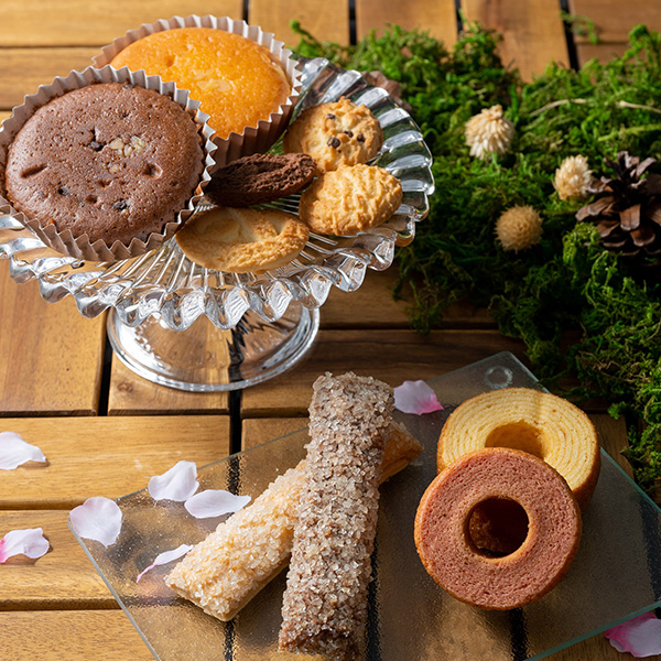 森の庭　森の焼き菓子　開花　２６個入