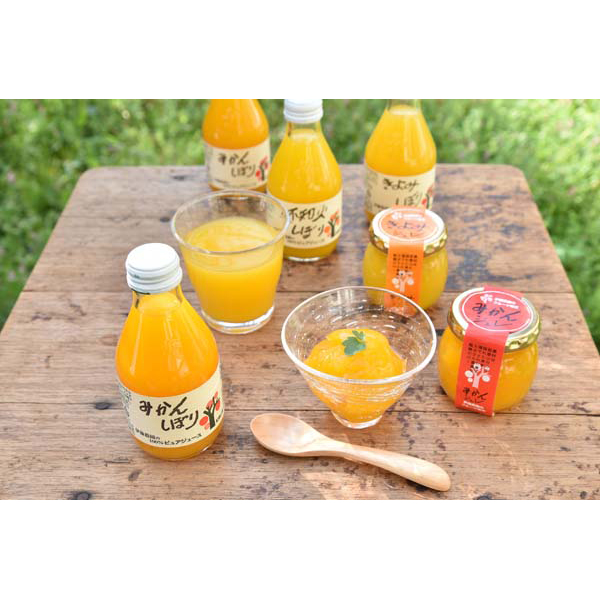 伊藤農園　１００％ピュアジュース＆ジュレセット