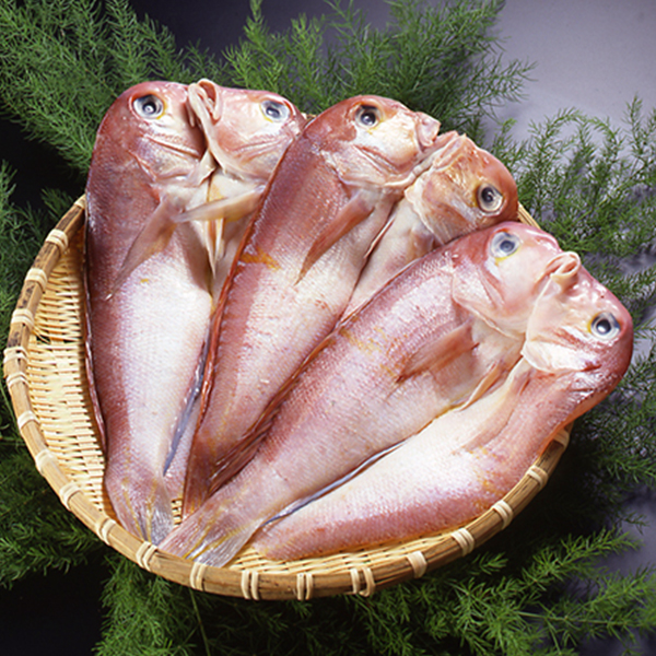 天然甘鯛一夜干し