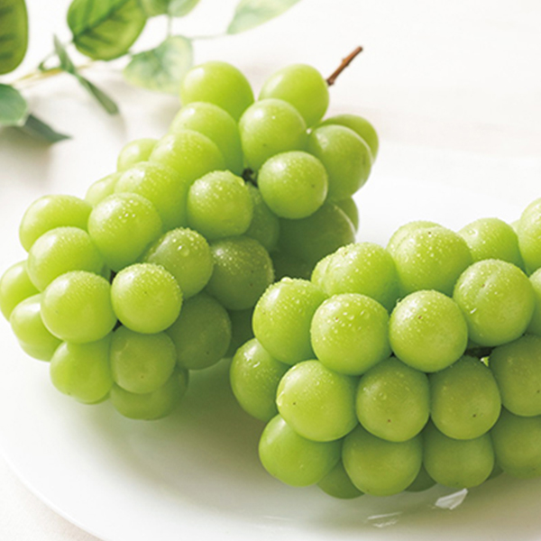 シャインマスカット