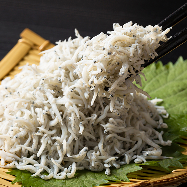 別府湾　釜揚げちりめん