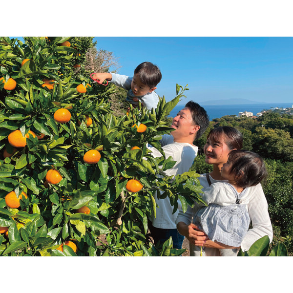 収穫体験農園ふたつぼり　みかん狩り＋ジャム作り体験　１名様